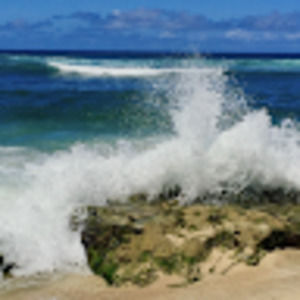 Meet your Posher, Lorraine